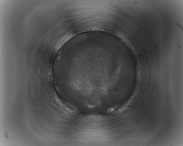 X0000100860977200807111249