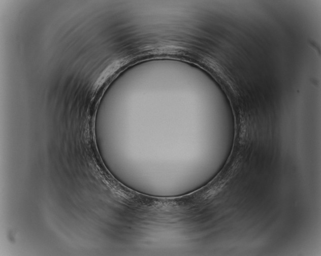 X0000100860978200807111249