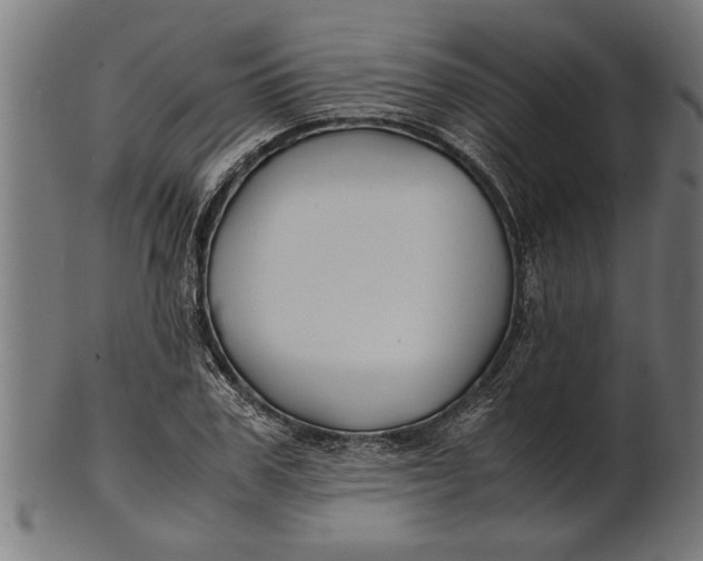 X0000100860979200807111249