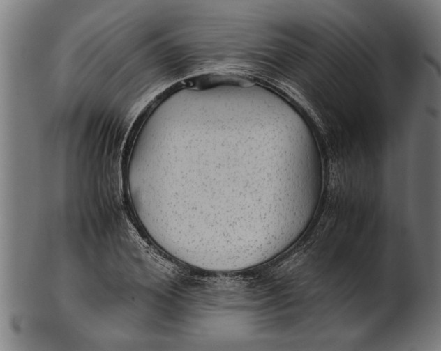 X0000100860980200807111249