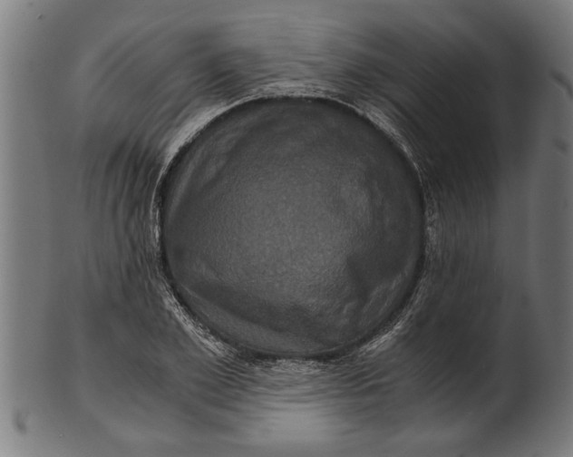 X0000100860981200807111249