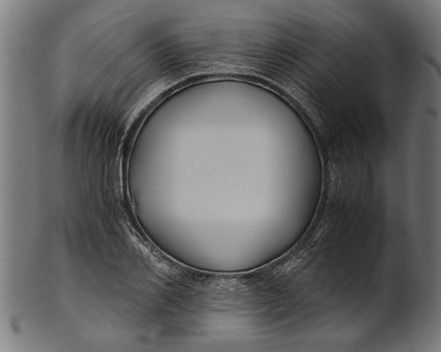 X0000100860982200807111249