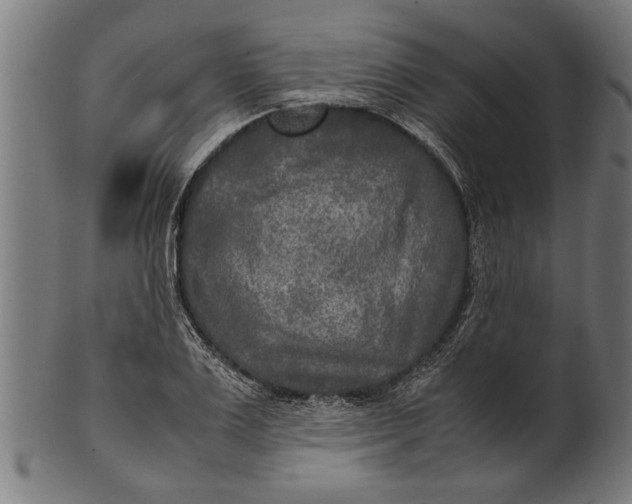 X0000100860983200807111249