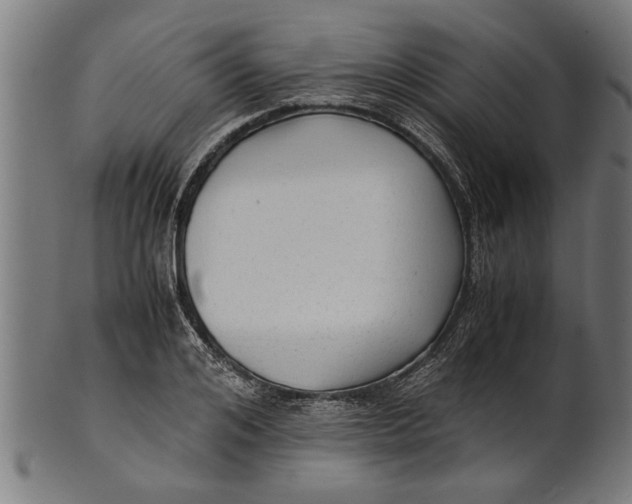 X0000100860984200807111248