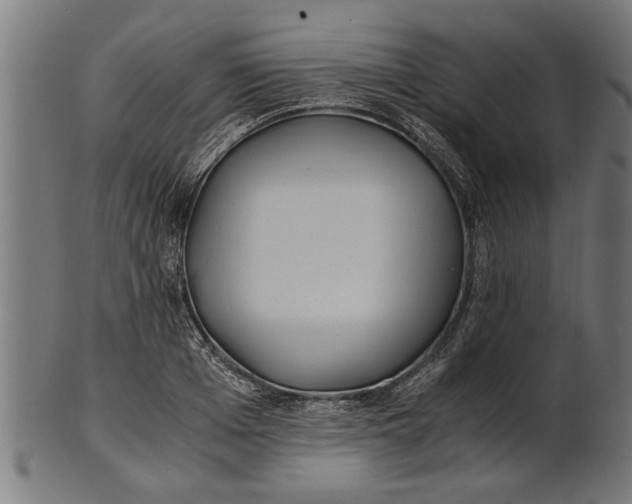 X0000100860985200807111248