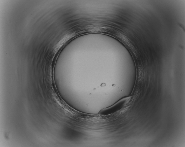 X0000100860986200807111248