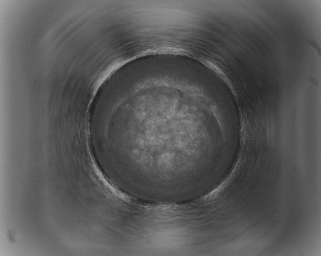 X0000100860989200807111248