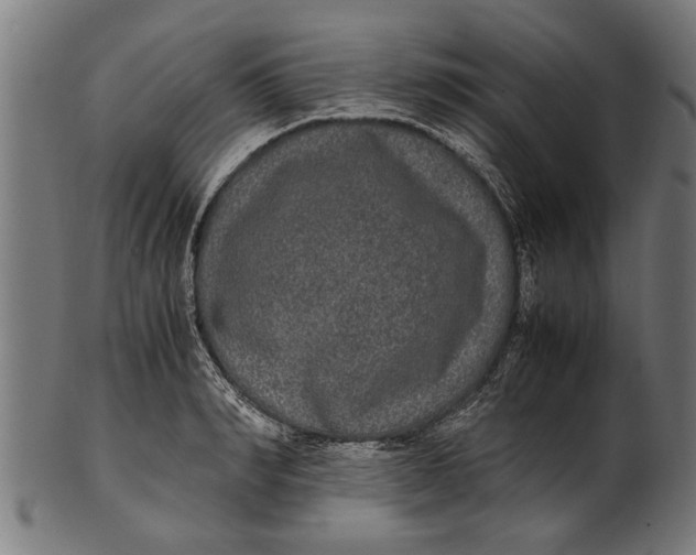 X0000100860990200807111248