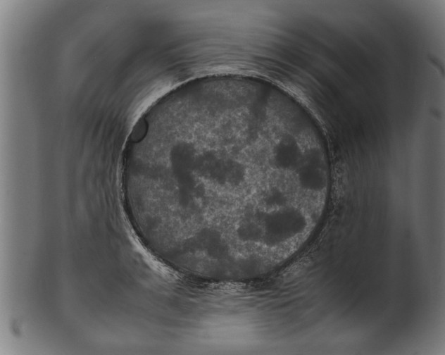 X0000100860991200807111248