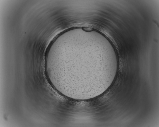 X0000100860992200807111248