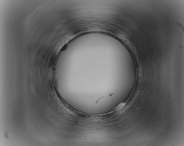 X0000100860993200807111248