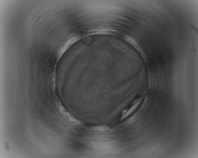 X0000100860994200807111248