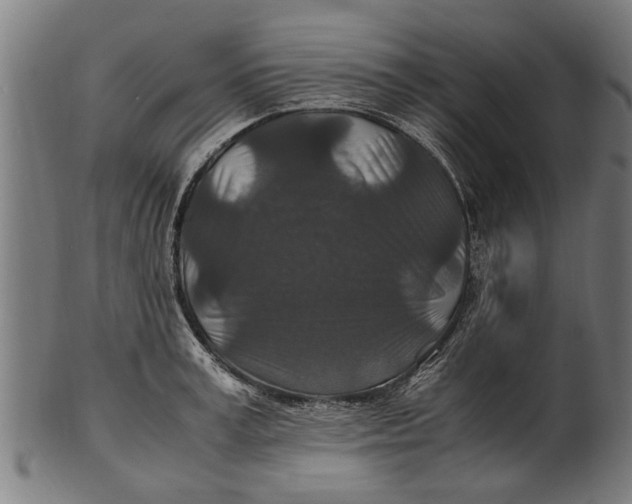 X0000100860995200807111248