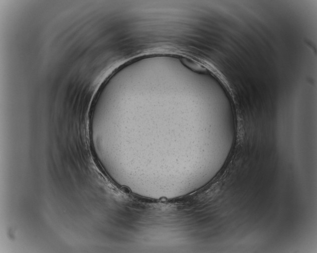 X0000100860996200807111248