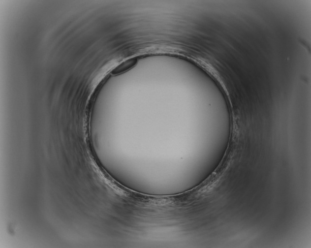 X0000100860997200807111248