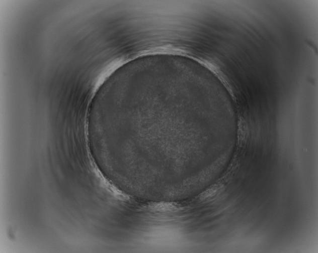 X0000100860998200807111248