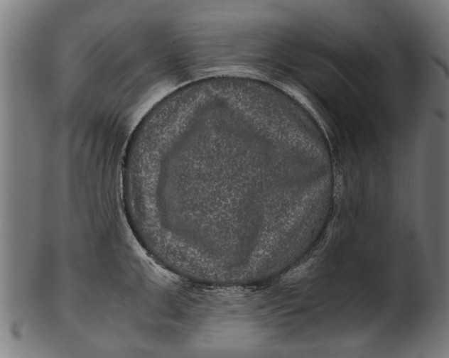 X0000100860999200807111248