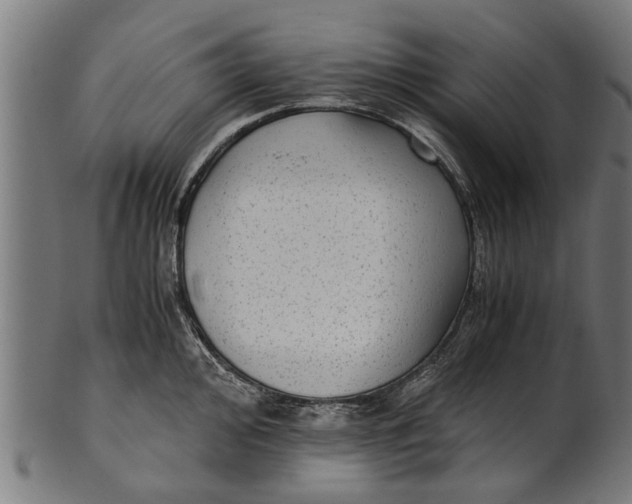 X0000100861000200807111248