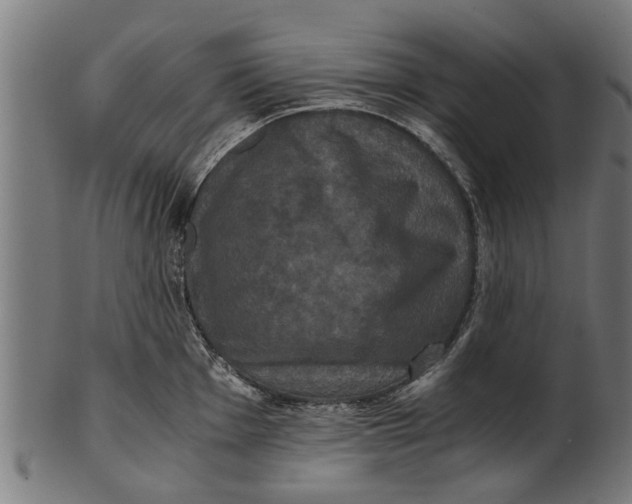 X0000100861001200807111248