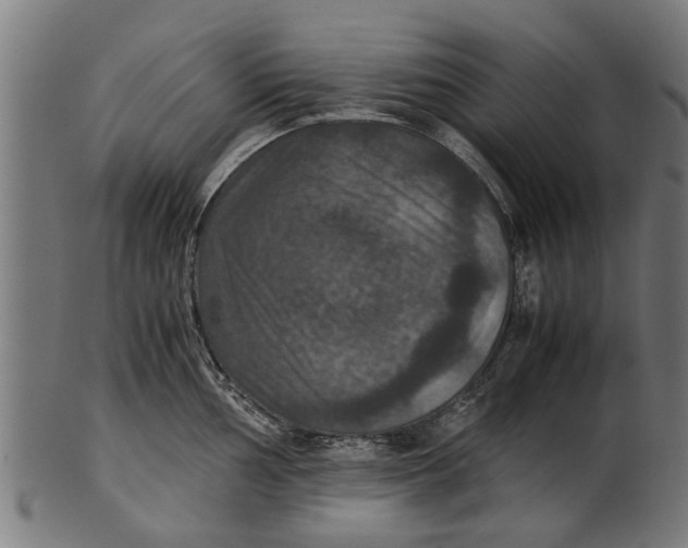 X0000100861002200807111248