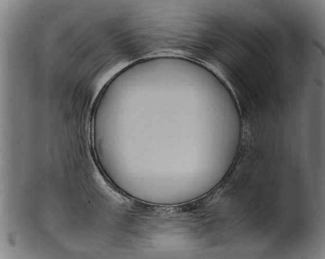 X0000100861003200807111248