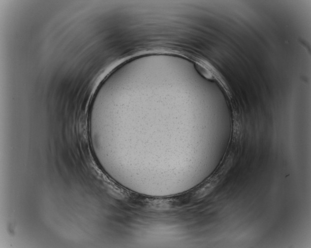 X0000100861004200807111248