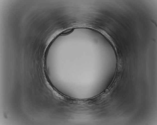 X0000100861005200807111248