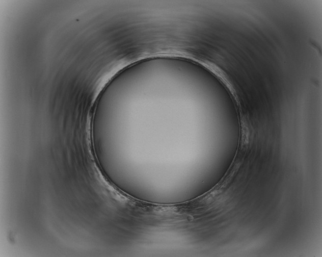 X0000100861006200807111248