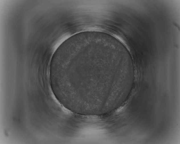 X0000100861007200807111248