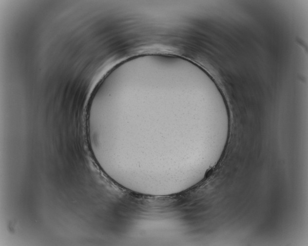 X0000100861008200807111248