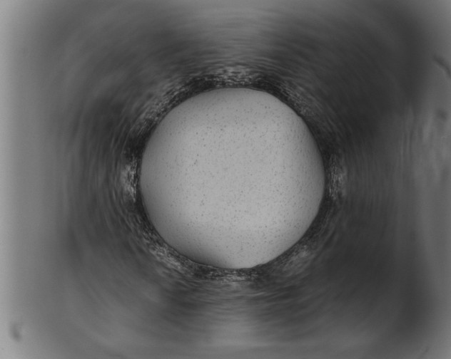 X0000100861010200807111248