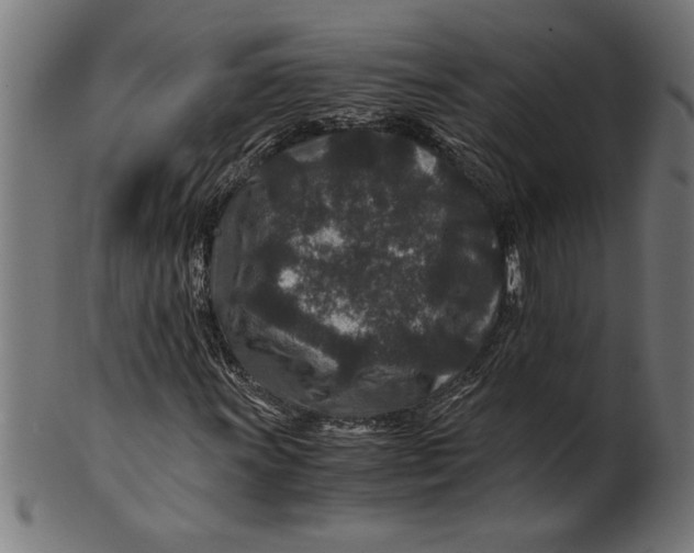 X0000100861011200807111248