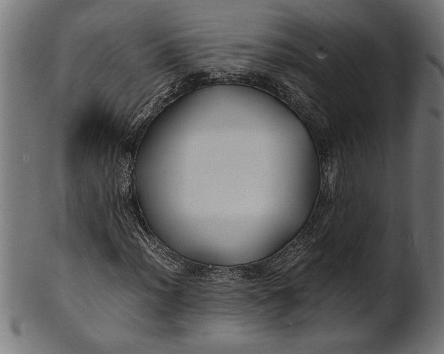 X0000100861012200807111248