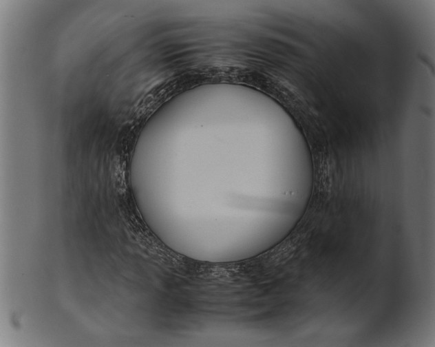 X0000100861013200807111248