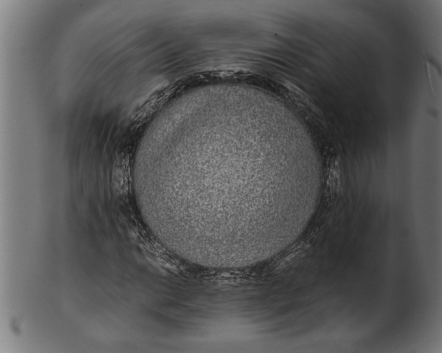 X0000100861014200807111248