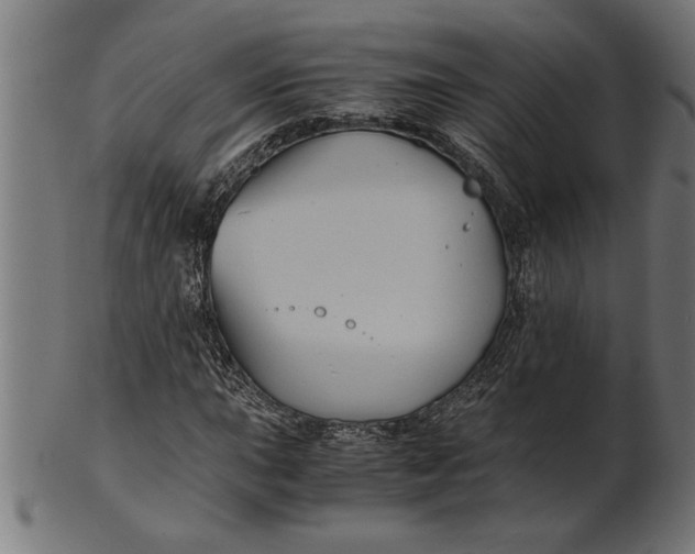 X0000100861015200807111248