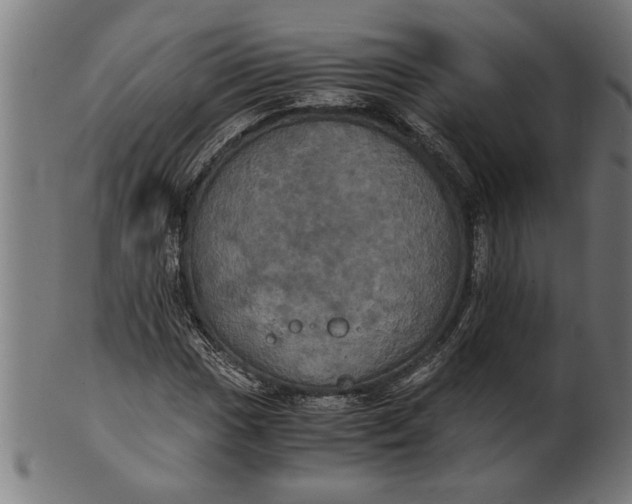 X0000100861017200807111248