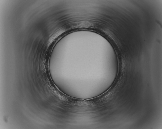 X0000100861018200807111248