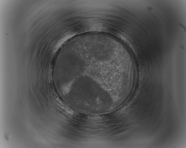 X0000100861019200807111248