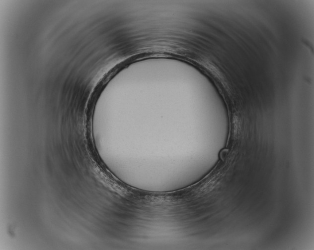 X0000100861020200807111248