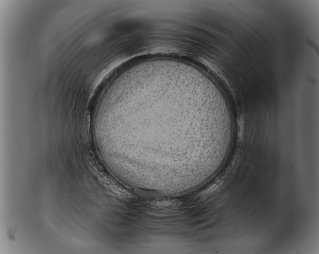 X0000100861021200807111248