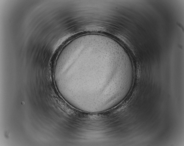 X0000100861022200807111248