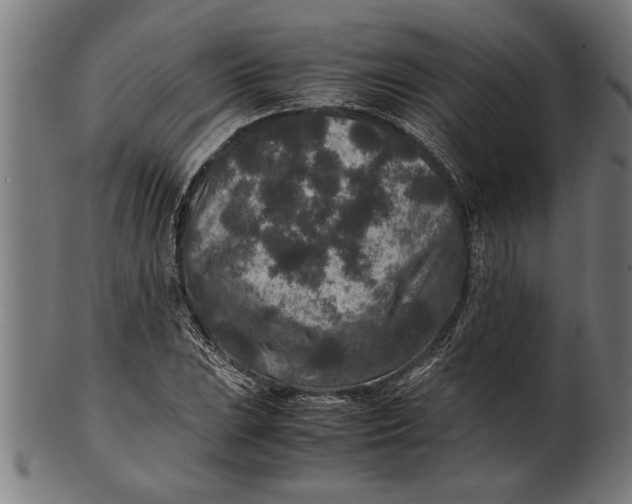 X0000100861023200807111248