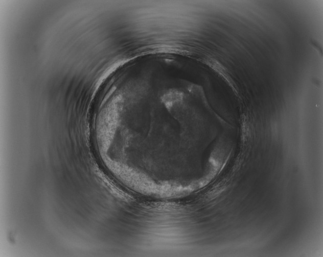 X0000100861024200807111248