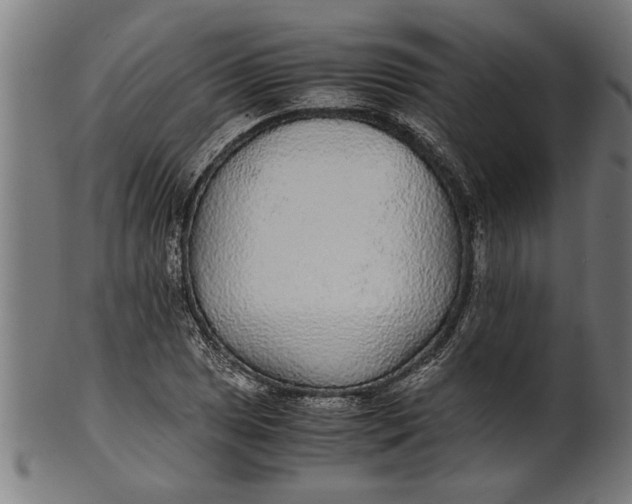 X0000100861025200807111248