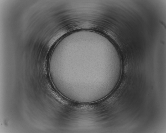 X0000100861026200807111248