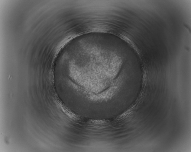 X0000100861027200807111248