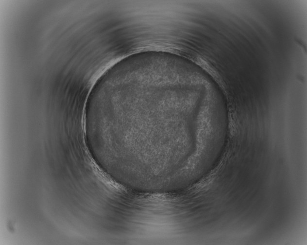 X0000100861028200807111248