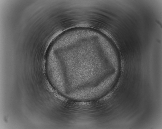 X0000100861029200807111248