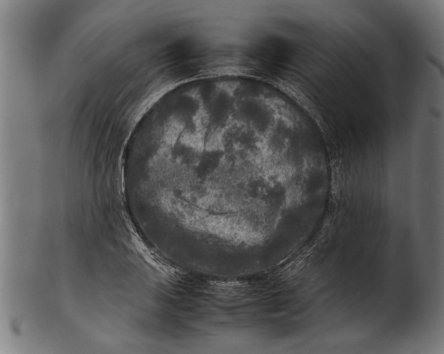 X0000100861031200807111248